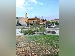 Μεγάλες ζημιές στην Ροδιά Τυρνάβου από την ξαφνική καταιγίδα