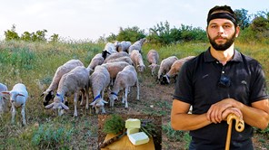 Συμβουλές επιβίωσης από έναν νέο κτηνοτρόφο στα Φάρσαλα (Βίντεο)