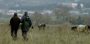 Θεσσαλία: Ρουμάνοι και Αλβανοί βοσκοί στήριγμα για την κτηνοτροφία