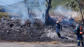 Ελασσόνα: Οριοθετήθηκε η φωτιά σε αγροτοδασική έκταση στην Κοκκινόγη