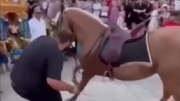 Τύρναβος: Ανάγκασαν άλογα να… προσκυνήσουν την εικόνα της Αγίας Παρασκευής (Βίντεο)