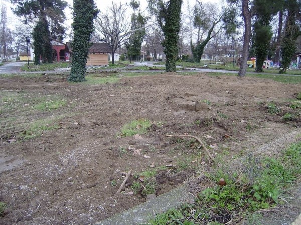 Αντεξαν τα δέντρα τον φετινό χειμώνα στον Δήμο Τυρνάβου 