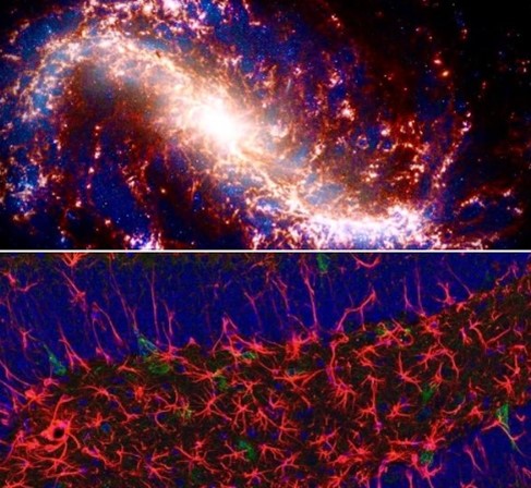 Αχ. Γραβάνης: Η "σύγκριση" του σύμπαντος με τον ανθρώπινο εγκέφαλο με δύο φωτογραφίες