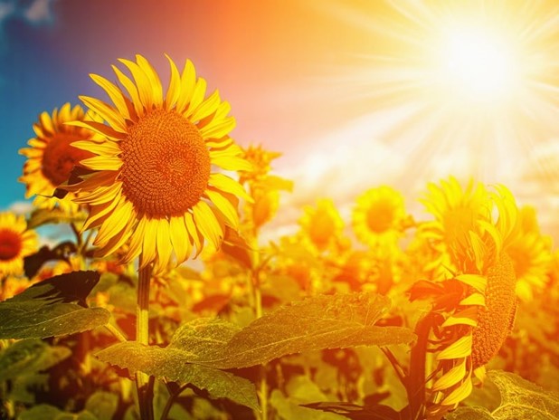 Θερινό ηλιοστάσιο: Ξεκινά επίσημα το καλοκαίρι σήμερα Τρίτη - Η μεγαλύτερη μέρα του 2022
